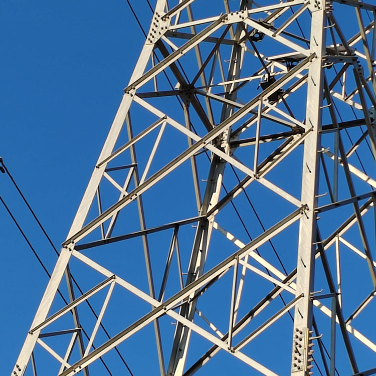 AI智能激光驱鸟器