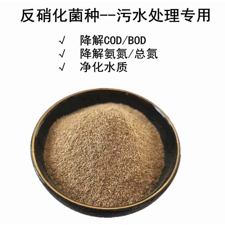 污水处理菌种