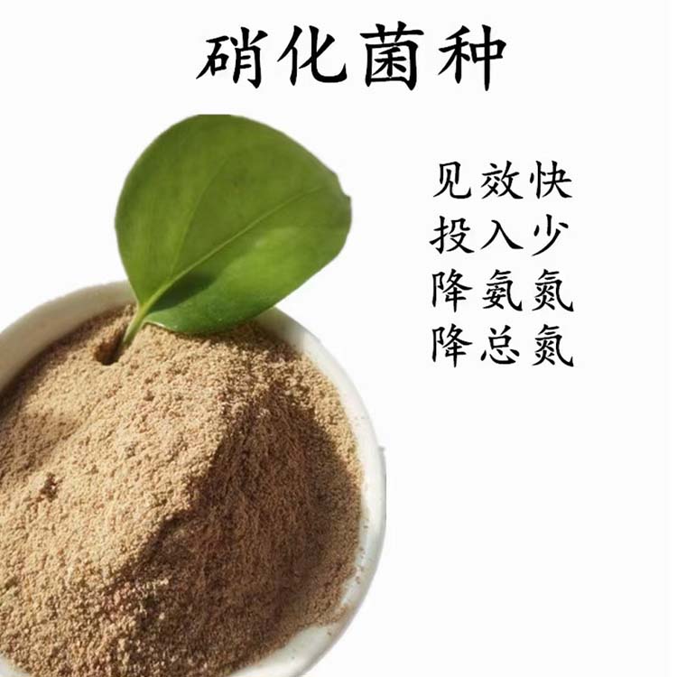 污水处理菌种