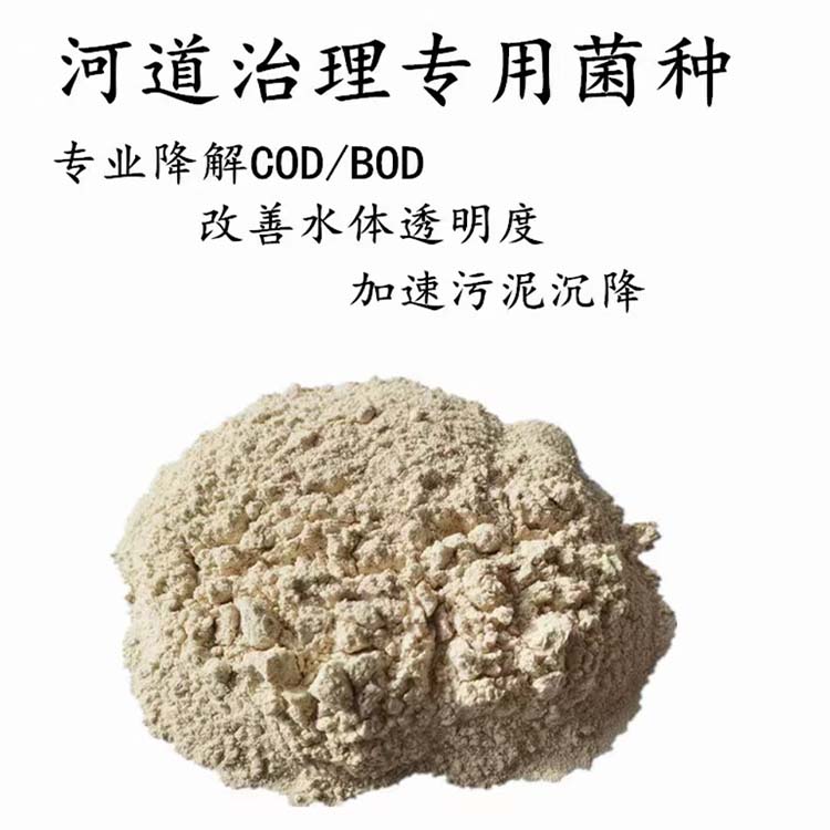 污水处理菌种