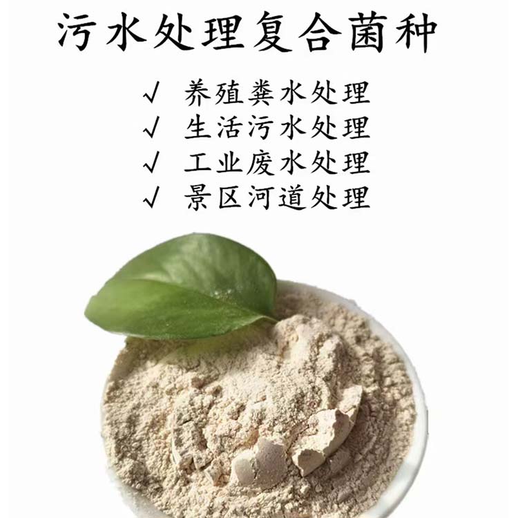 污水处理菌种