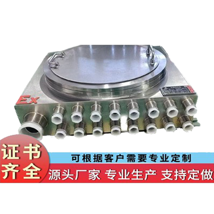 IIC级防爆接线箱（不锈钢）