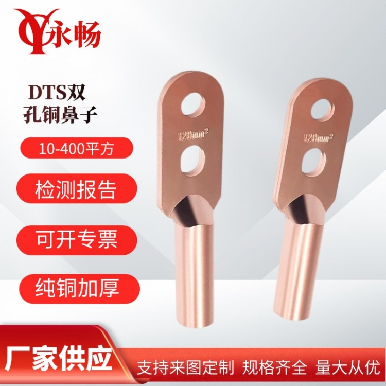 DTS双孔铜鼻子镀锡线鼻子接线端子25-240平方紫铜线耳