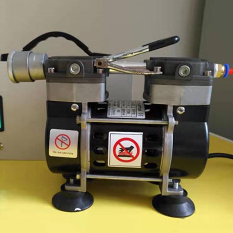 Portable vacuum pump for outdoor use, with built-in lithium battery unit