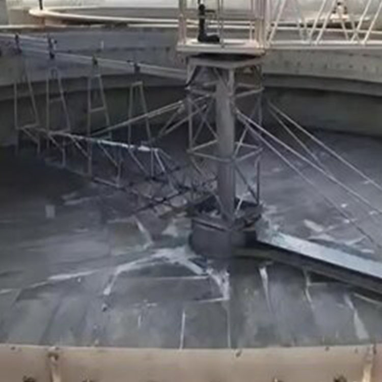 半桥式中心传动刮泥机