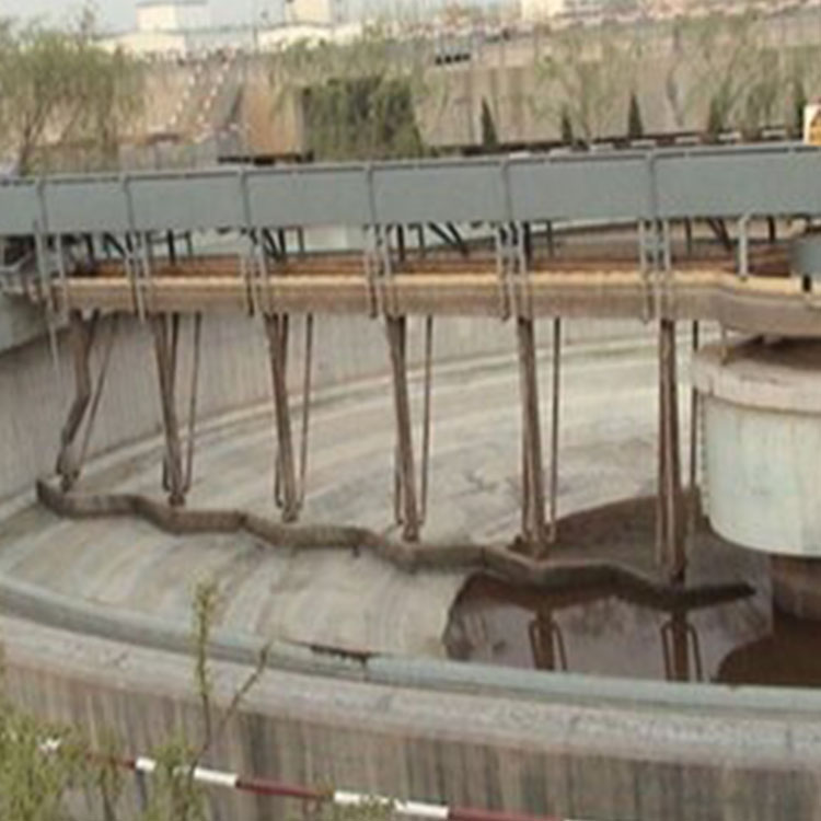 周边传动半桥式刮吸泥机