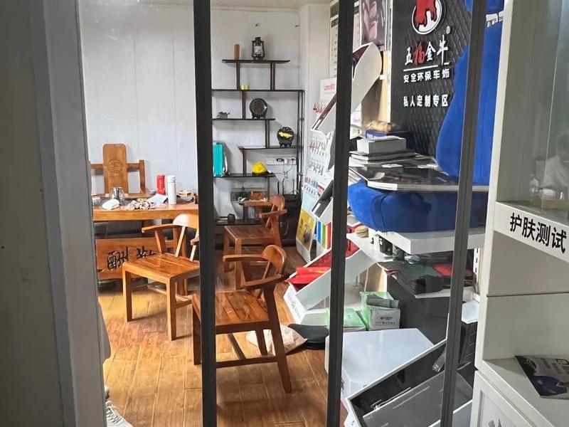 Magnetic door curtain