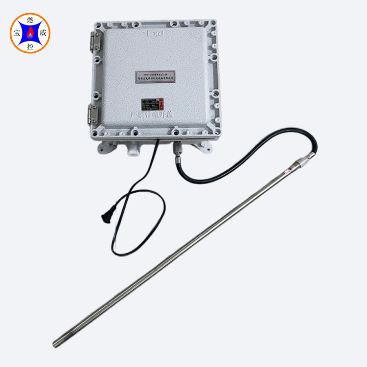 工业燃烧炉点火装置 防爆高能点火器BWFD-20