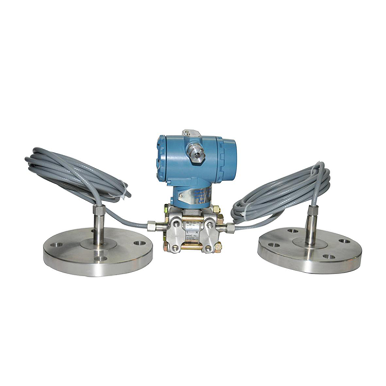 TH3051双法兰差压/液位变送器