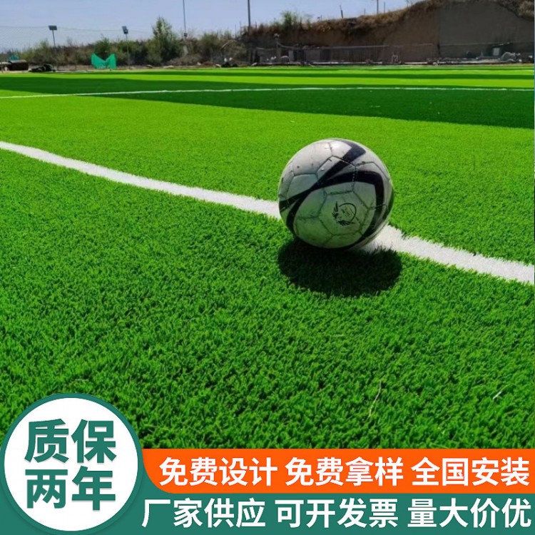 供应东城区运动场假草皮 足球场环保耐磨仿真草坪