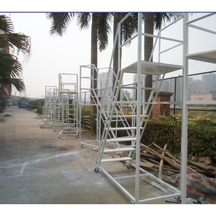福建登高取货作业梯规格款式可按需制作