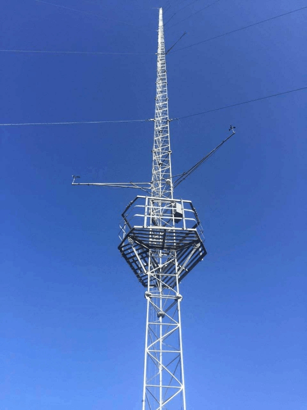 Committed to the entire value chain of wind turbine services, featuring innovative design, stringent production, and efficient construction.