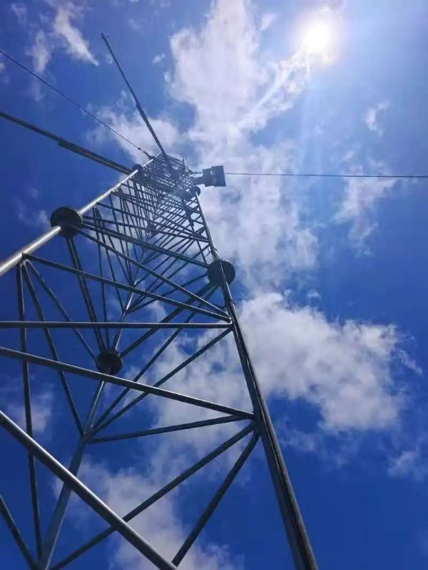 Focused on custom wind turbine production, factory direct supply with no middlemen, offering professional installation and construction services.