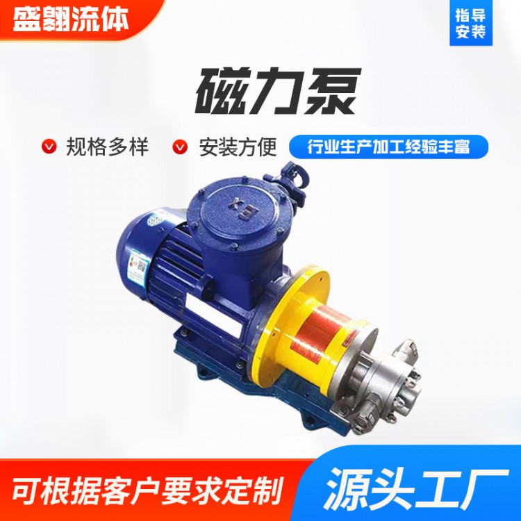 Magnetic pump