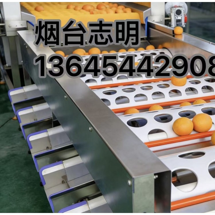 湖南娄底市柑桔青柑选果筛选加工设备