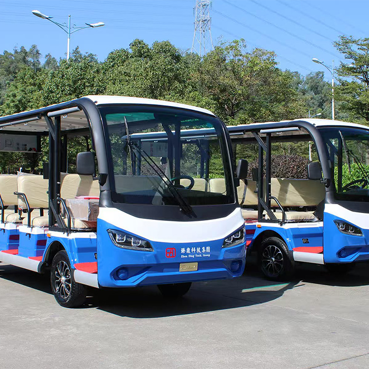 11-passenger Electric Touring Car D-G11