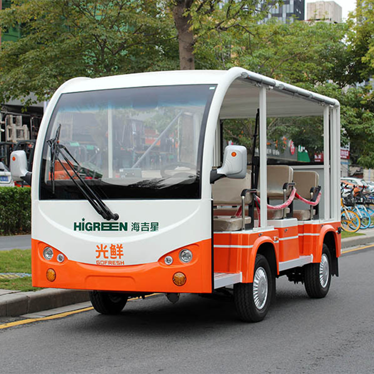 8-passenger Electric Tour Bus