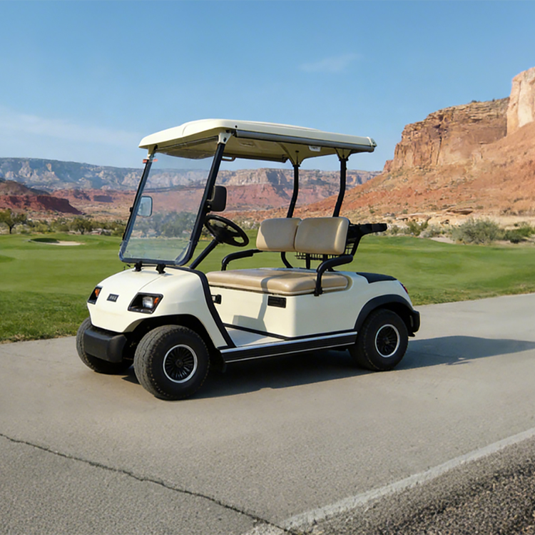 2座电动高尔夫观光车   LT-A2