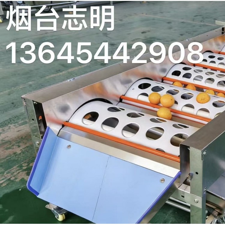 脐橙柑桔全自动不锈钢保鲜清洗分选机