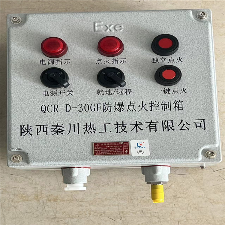 秦川热工多台火炬点火器一键点火启动