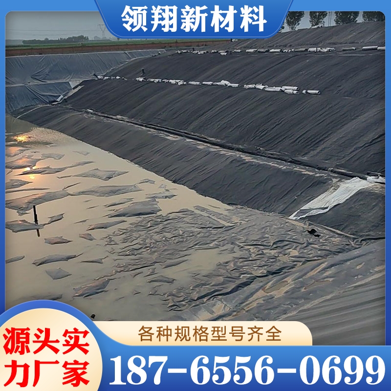 hdpe土工膜 支持定制