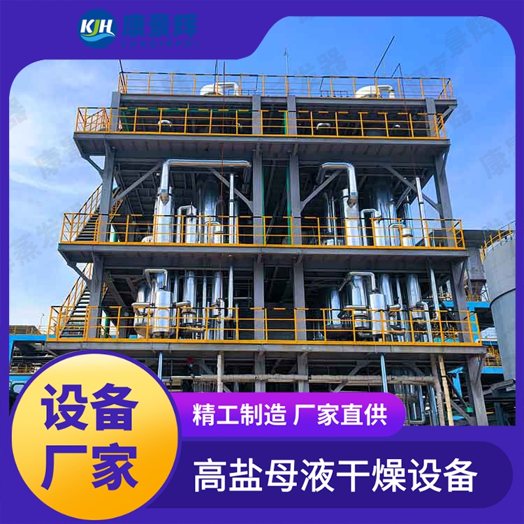 高盐废水蒸发器 康景辉 MVR蒸发结晶设备 多型号