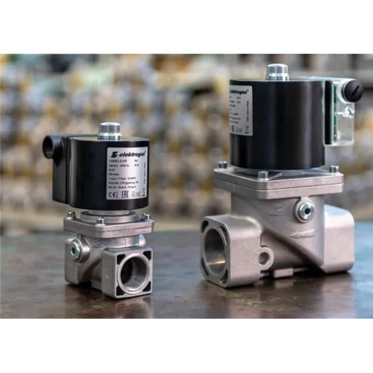ELEKTROGAS电磁阀