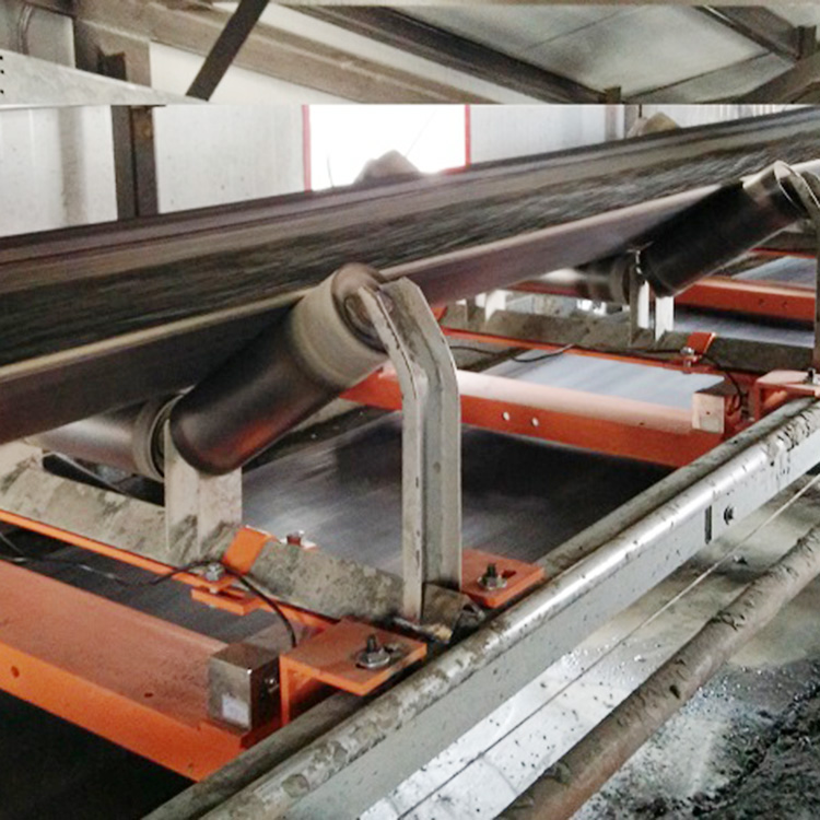 三组组合式皮带秤nDEL08