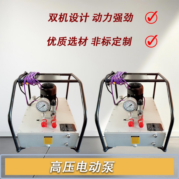 高压电动泵