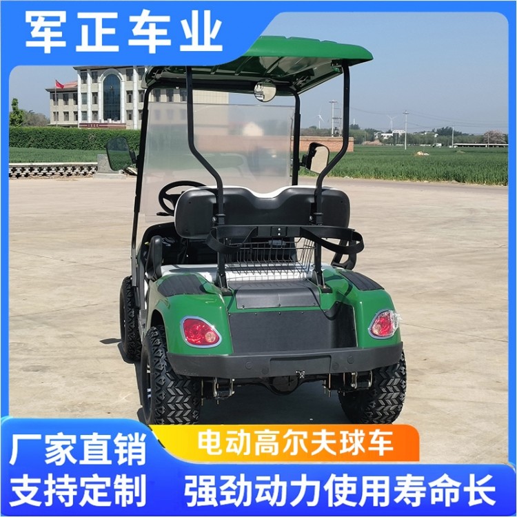 电动高尔夫球车 可按需加工定制