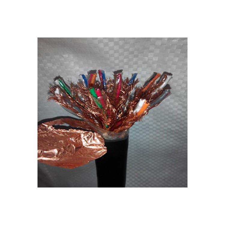 阻燃计算机屏蔽电缆 ZR-DJYVP 生产厂家