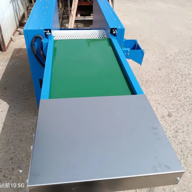 新款自动化蓝莓调速滚筒选果筛选机型号