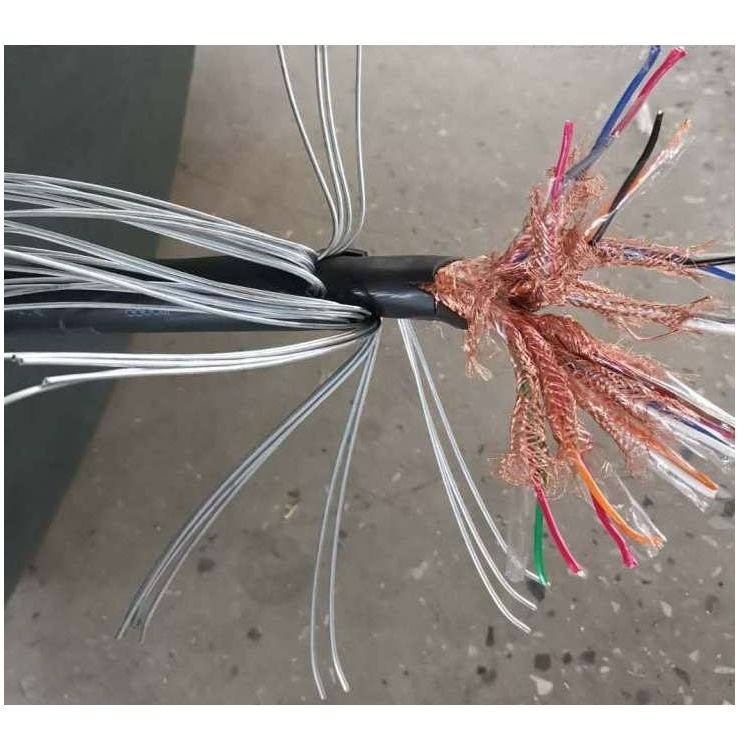 DCS计算机电缆总屏钢带铠装7股电缆1x2x1.5 mm2