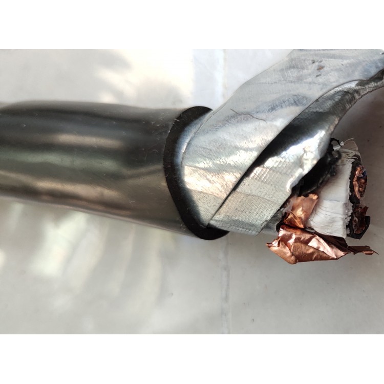 ZRA-HSGWPP22-2*5L双屏蔽铠装五类网线