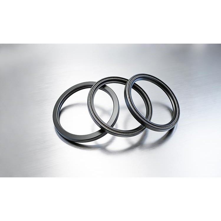 东莞低温泛塞封密封件生产厂家