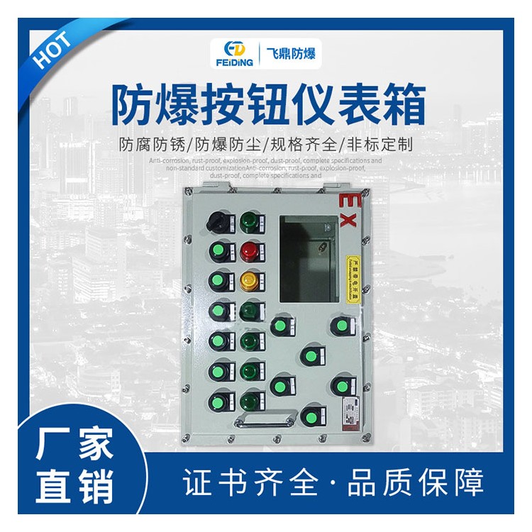 防爆仪表箱