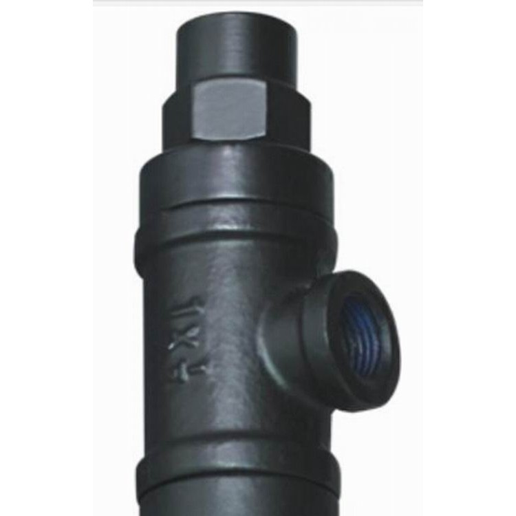 进口波纹管式疏水阀