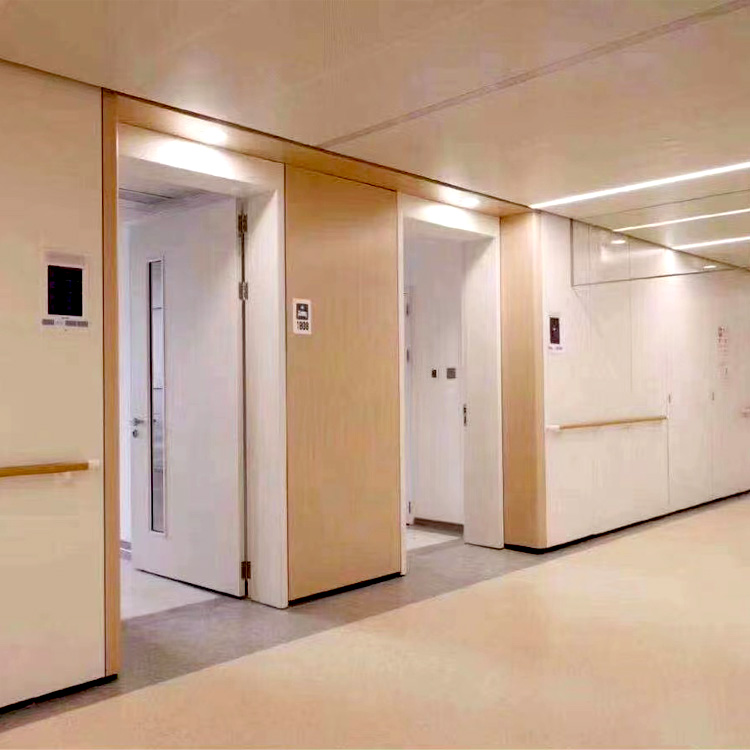 医院钢制医用门 防护门