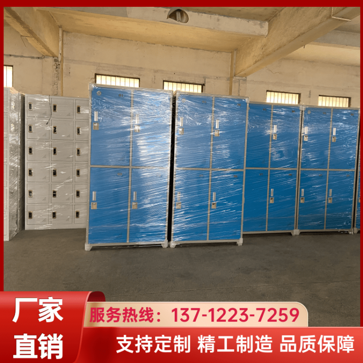 定制铁皮柜 办公钢制资料文件柜 员工储物铁柜 结构稳固