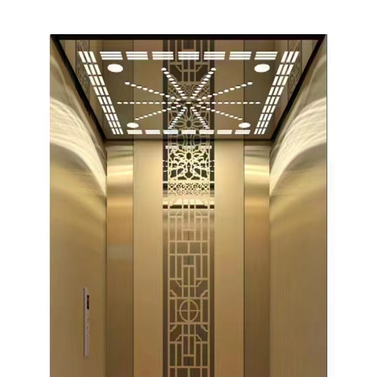 西奥自建房电梯省空间安全静音可定制大小