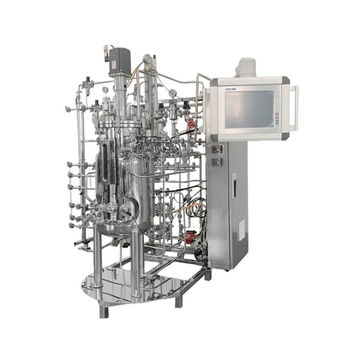 FZ-E型100L发酵罐