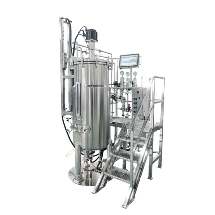 FZ-D型500L发酵罐