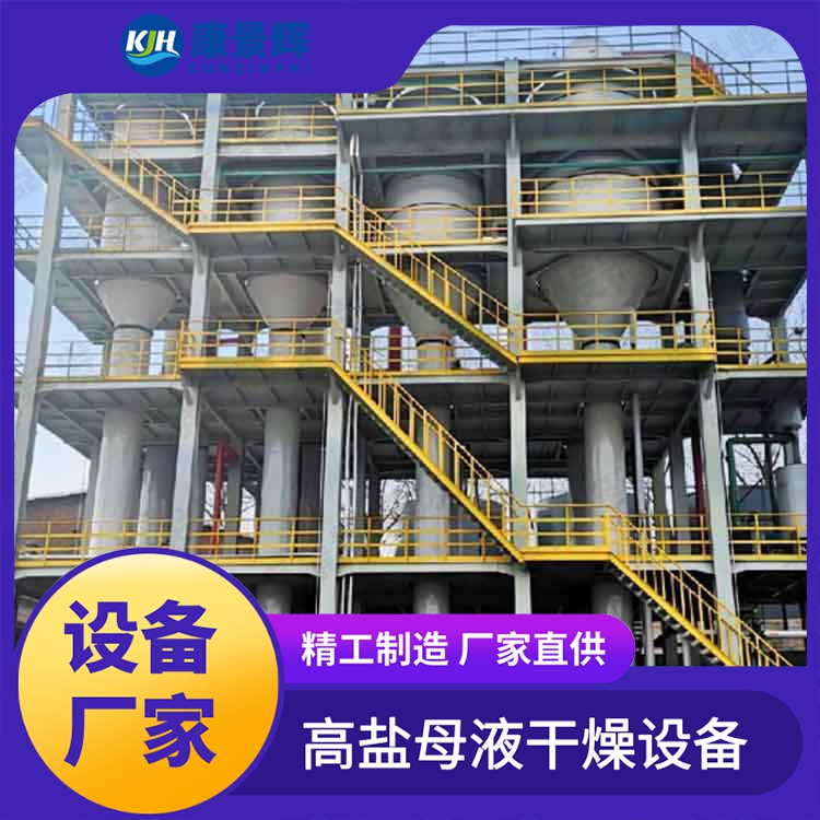 脱盐MVR蒸发器 含磷蒸发提纯设备 康景辉 氟化钠结晶器