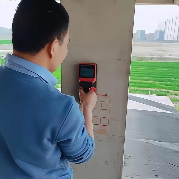 钢筋扫描仪检测