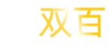 山东双百电子