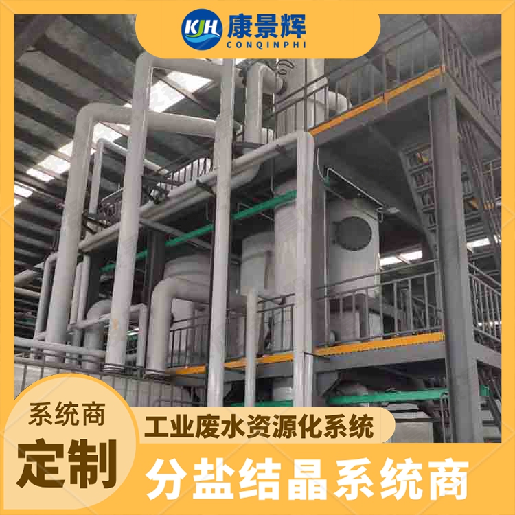 MVR废水蒸发器 含盐蒸发结晶设备 强制循环装置
