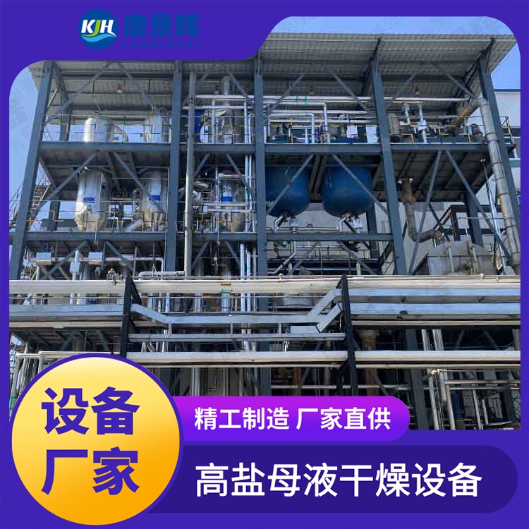 蒸发处理废水 康景辉 强制循环结晶盐设备 含盐浓缩器