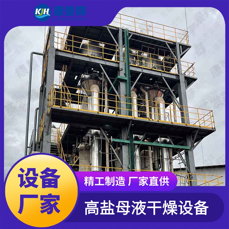 化工高盐废水处理 蒸发器设备 康景辉 含盐奥斯陆蒸发结晶器