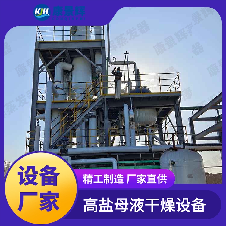 MVR废水蒸发器 含盐蒸发结晶设备 强制循环装置