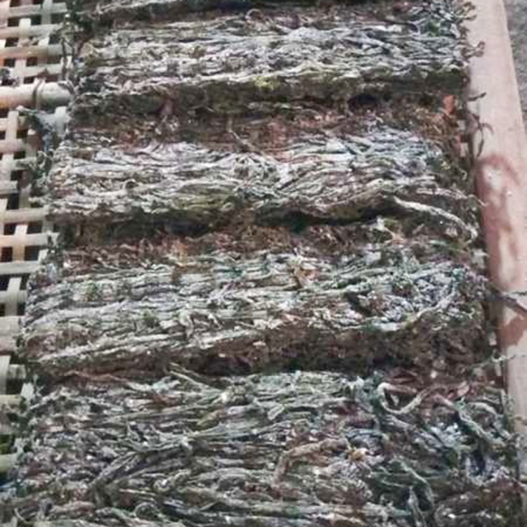 宠物食品烘干设备